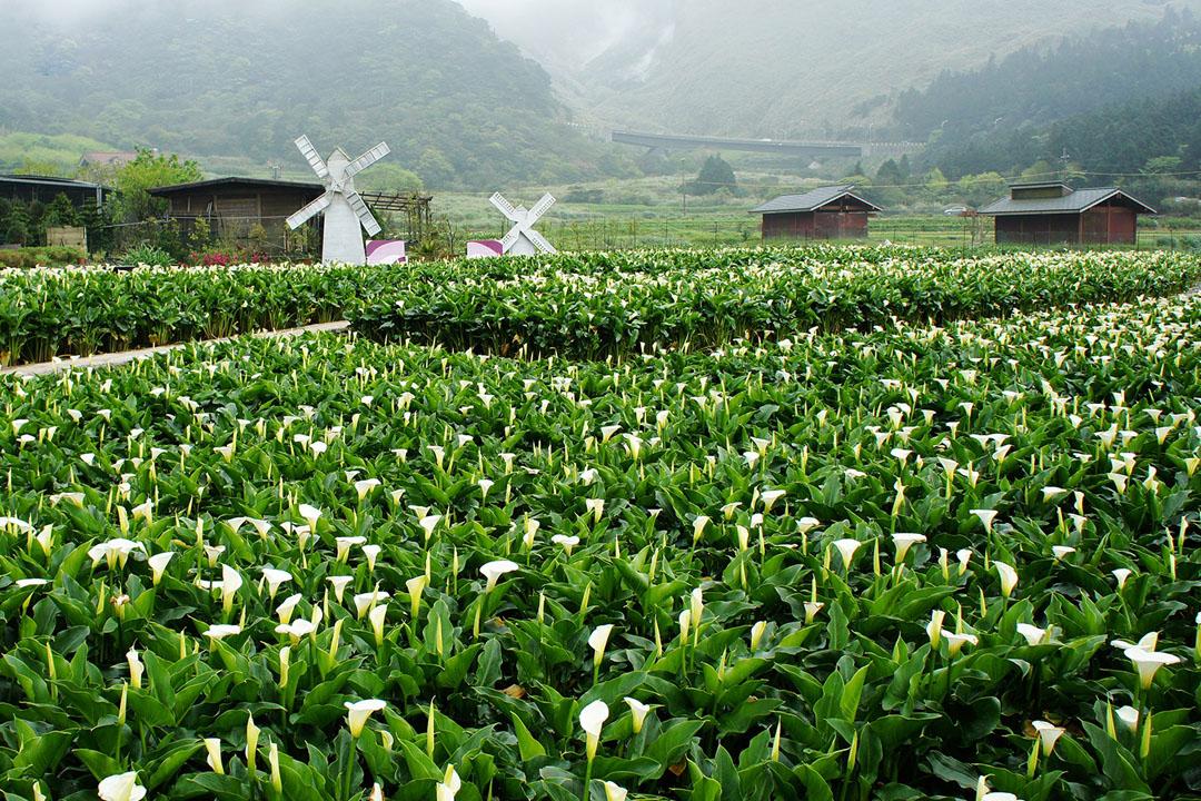 Đài Loan - Đài Bắc - Cao Hùng 