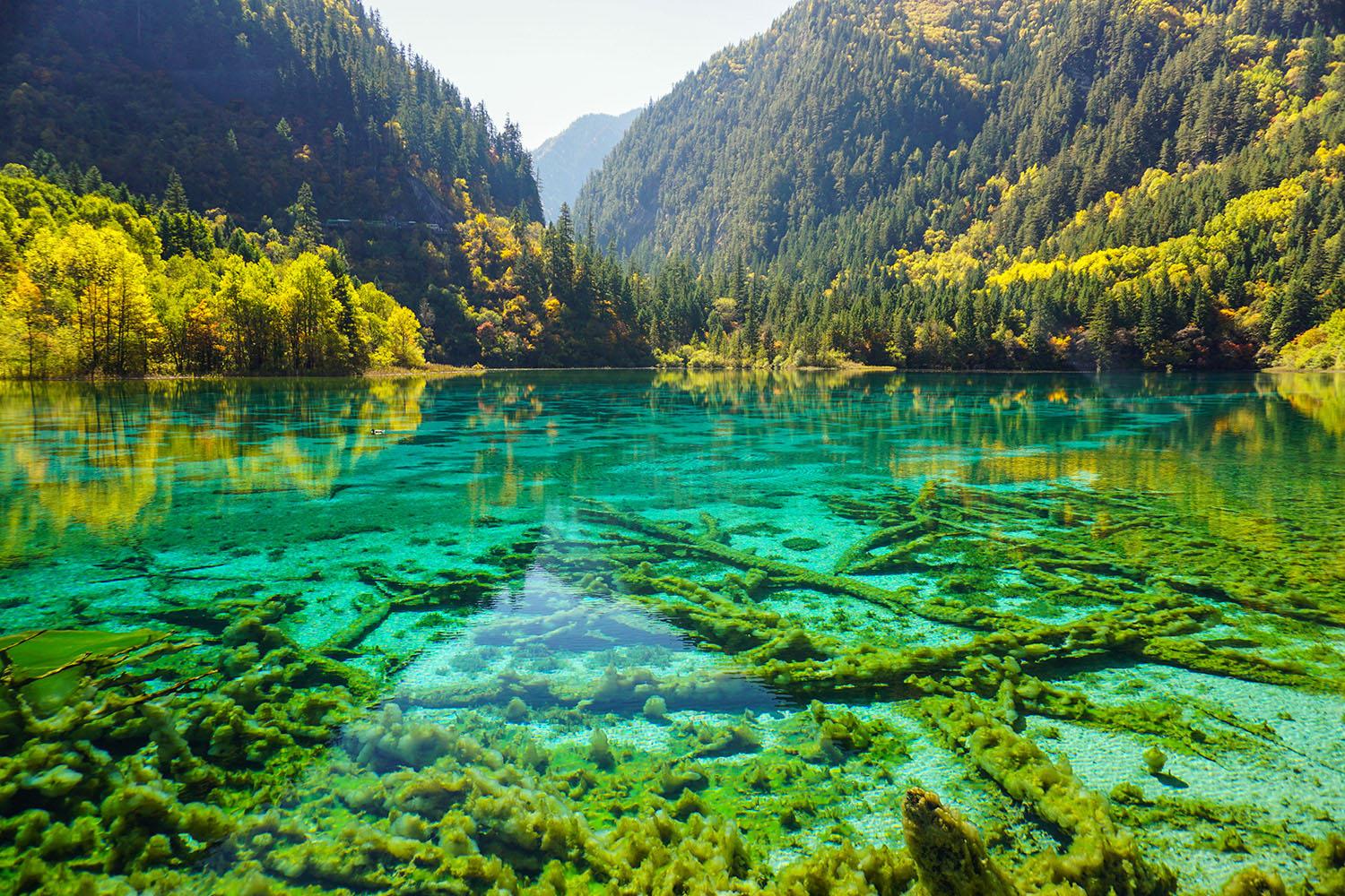 Trùng Khánh - Thành Đô - Lạc Sơn - Cửu Trại Câu - Công Viên Gấu Trúc